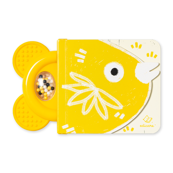 OLHA, OLHA! HABITANTES DA FLORESTA - LIVRO-ROCA